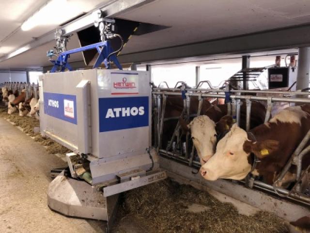 Athos Neu Red Ef55302a